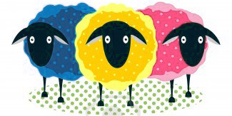 The Three Sheep Story three-sheep blue, yellow, pink
